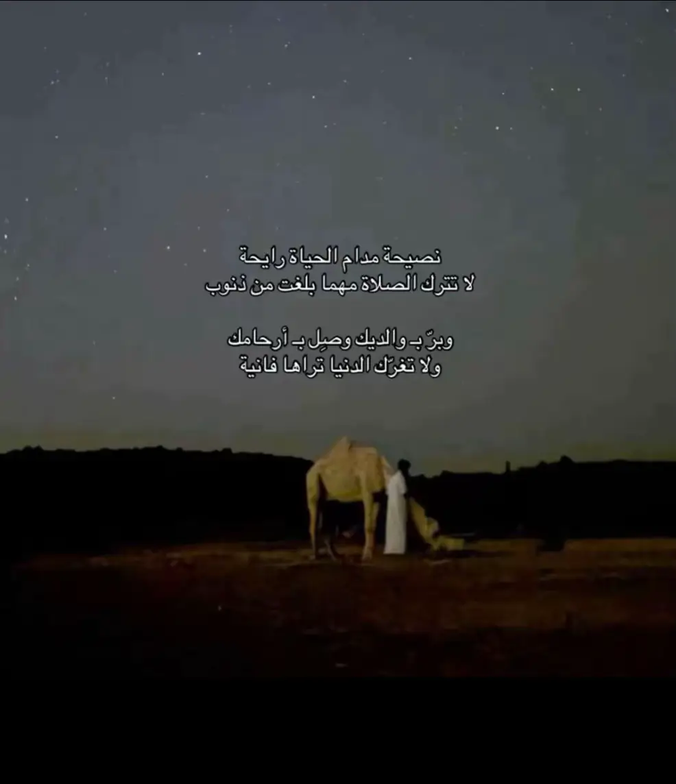 #creatorsearchinsights 