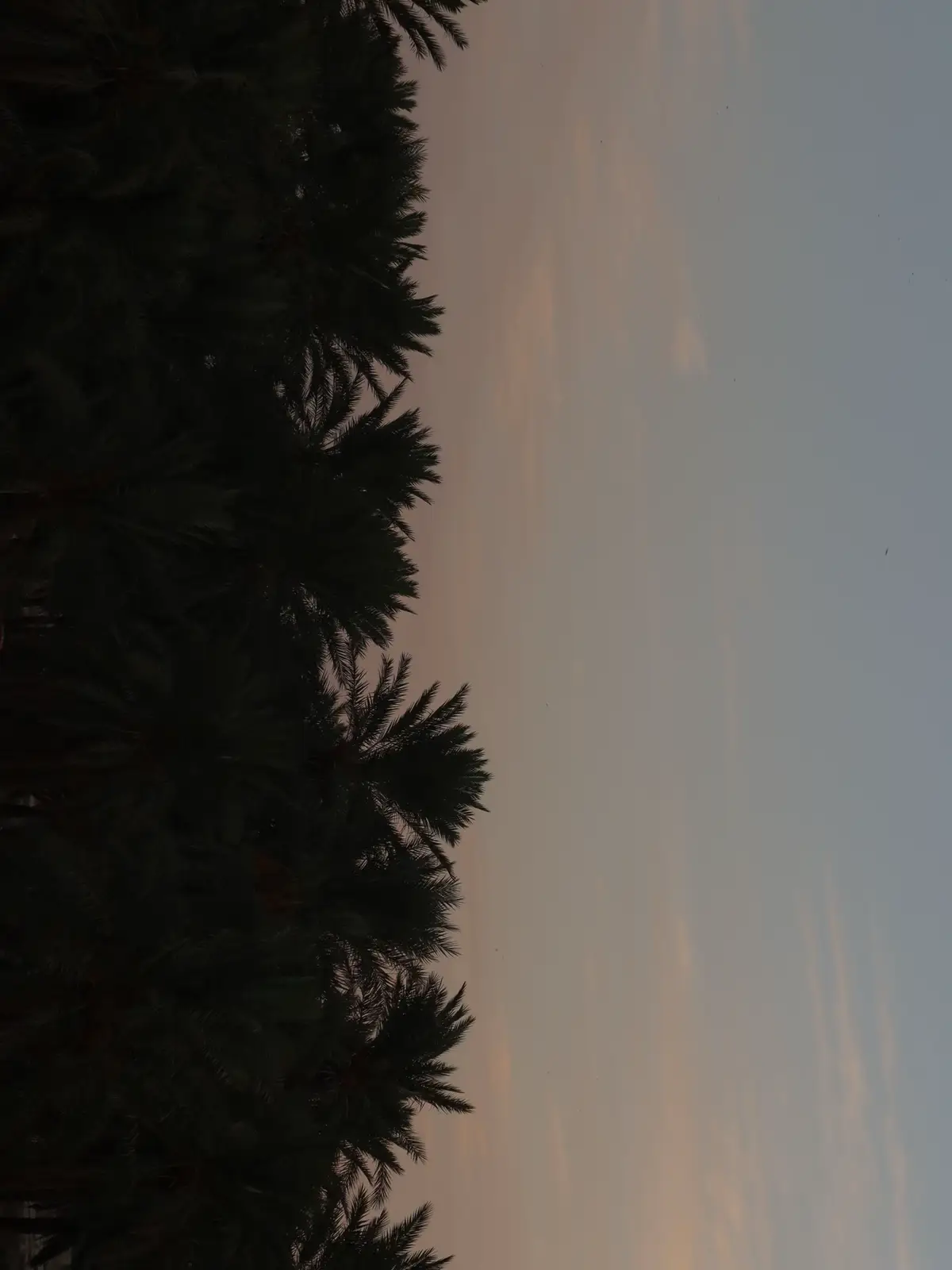 وإن مـا جبـرك الغـلا،  مـقدر على جبـرك ..