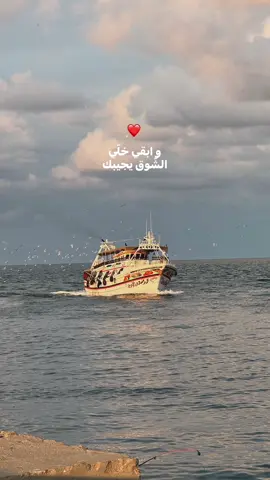 #viralvideo #چورچ_وسوف #ابووديع_سلطان_الطرب #1moouu☝🏻 #xplore 