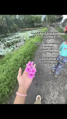 #ကျော်မသွားနဲ့နော်အသဲပေးခဲ့ #myanmar #fyp #crdစာသား 