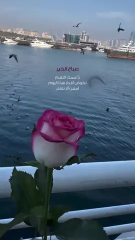 صبـــاح الخـير  لمن وجودهـم سر من حكايات الحياهہ وجزء من العافيہ لأرواحنا وقلوبنا .