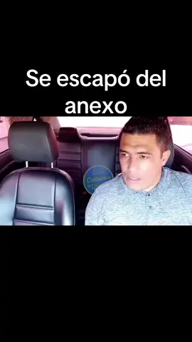 Voladora 2.0 #sketch #comedia #indriver #didi #uber 