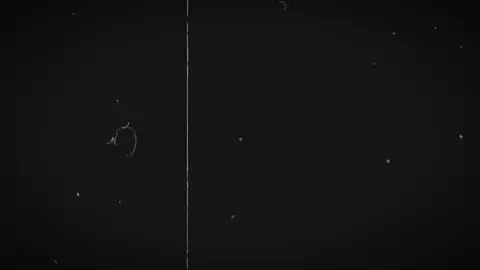 #cepcut #👑Sehjad👑 তাদের জন্য সু সংবাদ #foryou #vairal #trending @TikTok Bangladesh 