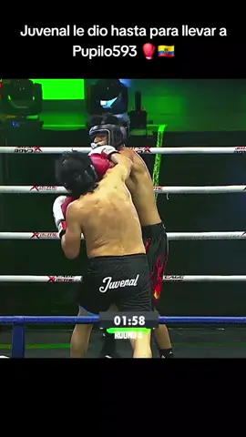 Juvenal ganador de la segunda pelea de los Kiños del Año #kiñosdelañoecuador #kiñosdelaño  #ecuador🇪🇨 #juvenal #pupilo593 