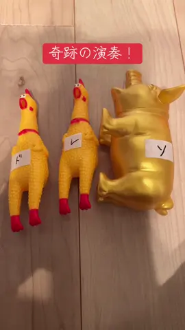 考えた人天才。 #修一朗ボイス #事件 #暇 