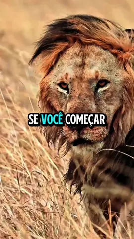 #reflexão #motivacao #fe 