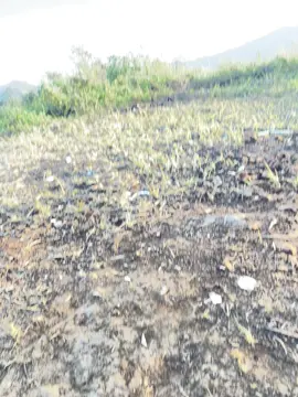 Săn mây thành công