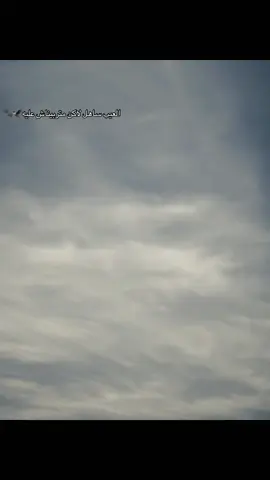 #algerie🇩🇿 #mauritania🇲🇷 