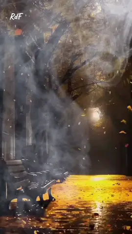 #rincondefrases #reflexiones #frases #fyp 