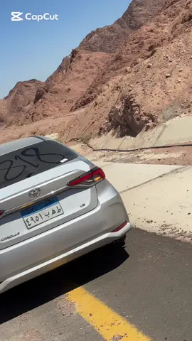 #بلي_ولنا_في_قمة_المجد_رايات #الاسماعيلية #مشاهير_تيك_توك_مشاهير_العرب🌺💜 #الله_حي_الجميع 