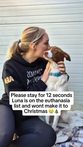 Our babies 😢😢😢