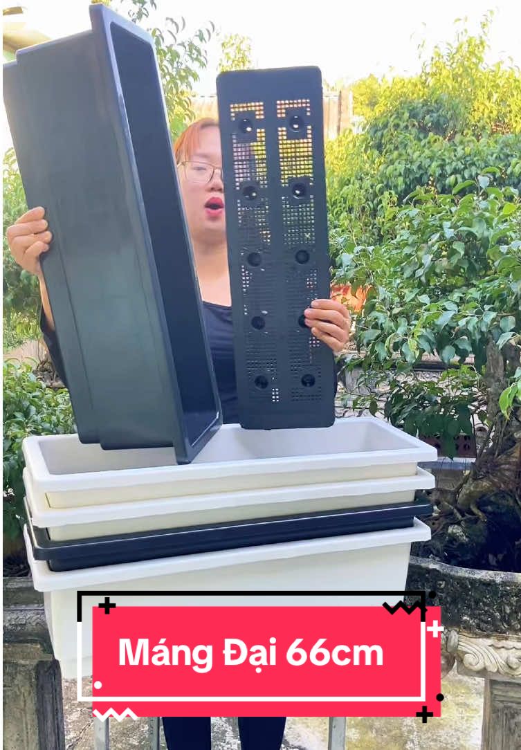 Máng rau đại 66cm. Trồng cây, trồng rau, trồng hoa giúp trang trí nhà cửa sân vườn. #lananhkhotong #chaucaycanh #chauchunhat #chauhinhvuong #chaucay #chaugiadong #