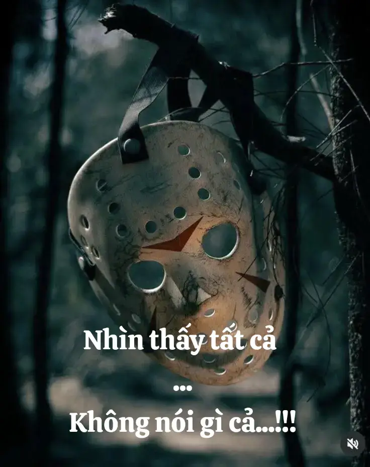 Nhìn thấy tất cả nhưng trọn im lặng ko nói gì cả#xh 