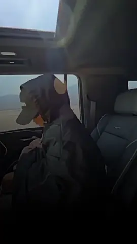 ##karolg #karolgmipatrona💐🛐 #lavidacontinuokarolg #lyricsvideo #karolgfans @Karol G 