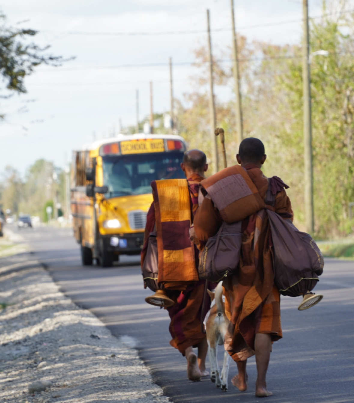 A gentle first day back 💛 Families, kids, and a whole lot of peace — plus Aloka’s new little friend 🐶🐖✨ With care and a full escort helping guide the monks safely today. #WalkForPeace #BuddhistMonks #AlokaThePeaceDog #Compassion #Community 
