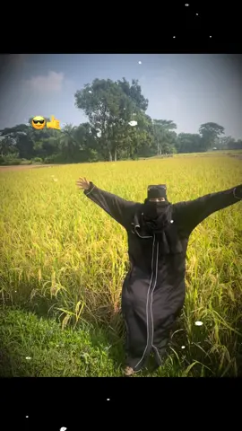 #টেন্ড ফলো করতে গিয়ে বেডার ধান খেতের ইজ্জৎ শেষ #sobai_sapport_koro_amk_plzz🙏 #একটু_ভায়রাল_করেদাও🙏🙏🙏 #TikTok @TikTok Bangladesh 