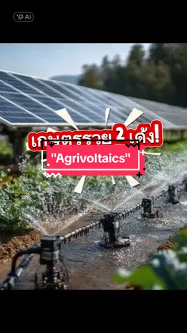 เทรนด์ใหม่สุดฮิต—Agrivoltaics หรือการปลูกผัก ใต้แผงโซลาร์เซลล์! บอกเลยว่าเป็นสูตร รวย 2 เด้ง 💰 เด้งที่ 1: ขายไฟส่วนเกินจากแผงโซลาร์ให้รัฐได้ รายได้มั่นคง 🥬 เด้งที่ 2: ผักคุณภาพดีขึ้น แถมใช้น้ำน้อยลง เพราะร่มเงาจากแผงช่วยลดการระเหยน้ำในดิน#ความรู้ #greeningplus #ปลูกผัก #โซลาร์เซลล์ #เกษตรรุ่นใหม่ #agrivoltaics #เทคโนโลยี 