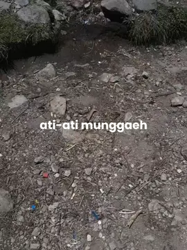 #CapCut apaaaaaaa 🤣