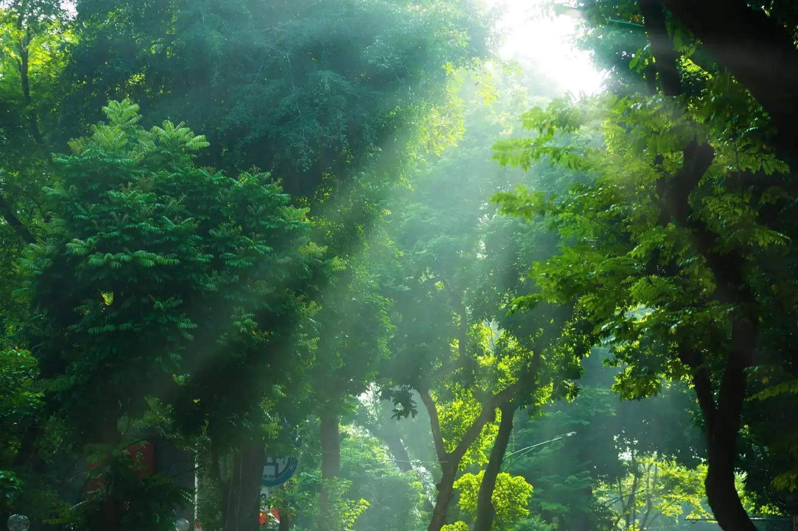 📷 : Mạnh Hải - Chuyện của Hà Nội Group .. ☀️  #chuyencuaHaNoi  #vanhoa  #binhyen  #chupanhnghethuat  #photoshoot 