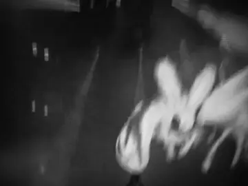 old carti #playboicarti #playboicartiedits #carti #dielit #fyp 