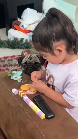 Jaja 🤣🤣🤣 #puglife 