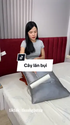Cây lăn bụi size lớn #caylanbui #giadungtienich #giadungthongminh 
