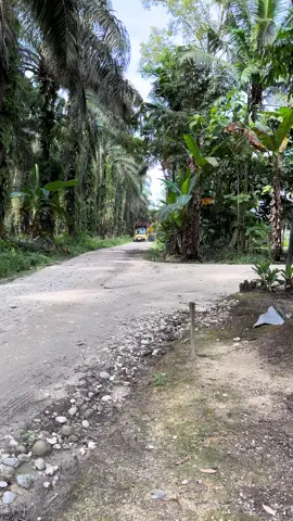 🔥🔥#fyp #sawitriau #stylejambi 