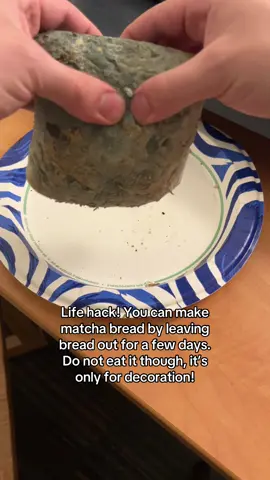 do you like my matcha bread