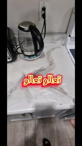 تجربة عرق التين #aboelias71 #عرق #ليبيا🇱🇾 #الكويت_مصر_السعودية_سوريا_الامارت #بغداد_بصرة_موصل_الكويت_الخليج_دبي_ 