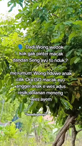 #katakata #iburumahtangga #xybca #fyppppppppppppppppppppppp 