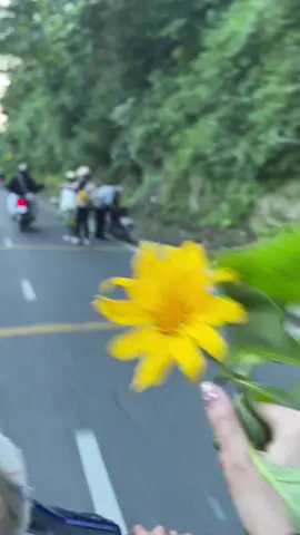 Ai gặp ko#xhtiktok #bavi 