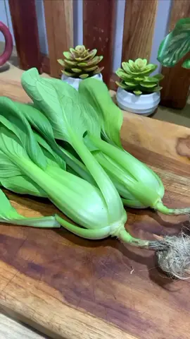 #বলে_যেও_কিন্তু_😔😔 #টিকটক_বাংলাদেশ_অফিসিয়াল🇧🇩🇧🇩🇧🇩 #ফরইউতে_দেখতে_চাই 