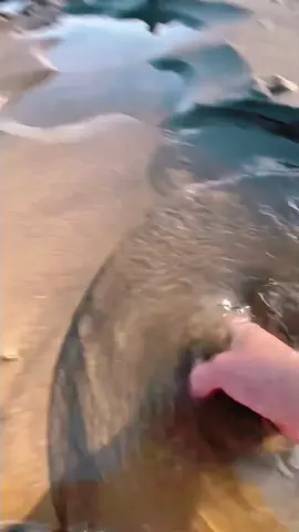 #chill #canhdep #fyp #xuhuong #canhdepbacau 