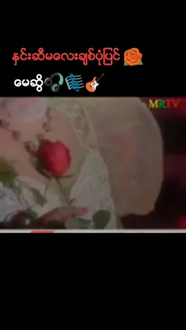 🎧🎼🎹🎸🎸🎵🎶⭐🌹🌷🕊️🕊️🕊️🕊️