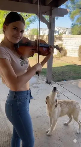 #karolinaprostenko #violin #karolinaprostenkoviolin 