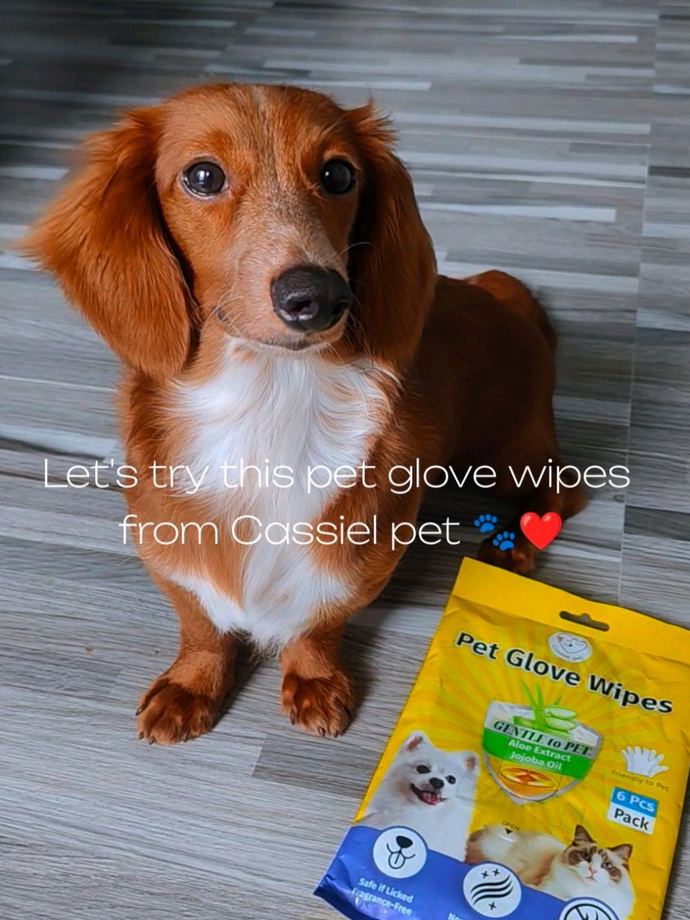 Cleaning our pets is now convenient and hassle-free, thanks to Pet Glove Wipes from Cassiel Pet! ✨ @cassiel.pet.wold 🤍🤍🤍 #cassielpet #petglovewipes #multipurposewipes #groomingessentials 