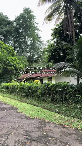 Kebetulan lagi jogging sekalian videoin rumah pak @Purbaya Yudhi Sadewa dulunya, bapak kangen pada masa itu ga pak? Btw vibes disana kayak tahun 90an gais #purbaya #ipbuniversity #ipbdramaga 