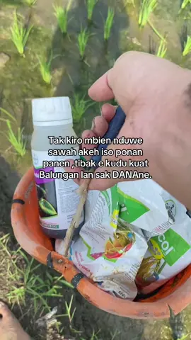 Sekali semprot wis koyo rego skincare 🥲#petaniindonesia🇮🇩🇮🇩🇮🇩🌿🌿 #petanimuda #petanimilenial #fyppppppppppppppppppppppp #genz 