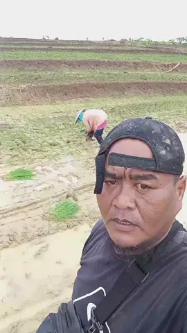 sak jalan ki g koyo ibuk bafaak