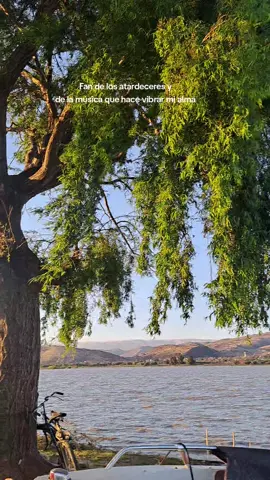 siddhartha    ❤️✨️