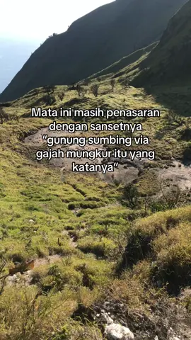 Apa katanya emang? #fypシ #pendakigunung #sumbingviagajahmungkur #storypendakigunung #masukberanda 