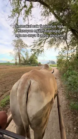 #mannalon #proudilocano #famerlife #fyp #fyppppppppppppppppppppppp 💚