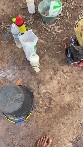 Halloo🙌#petanimuda #petaniindonesia🇮🇩🇮🇩🇮🇩🌿🌿 #petanimelenial 