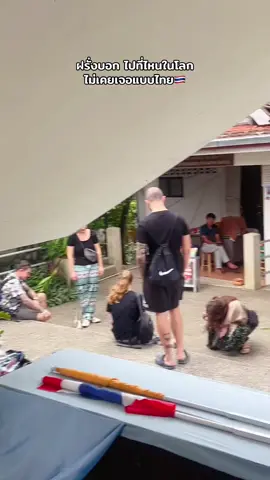 ฝรั่งบอก ไปที่ไหนในโลก ไม่เคยเจอแบบไทย เจอหมาแมวได้หลายที่ เซเว่นก็มี วัดก็มี 😇 #หมาแมว #เกาะสมุย #สัตว์โลกน่ารัก #pets #fypシ゚ 