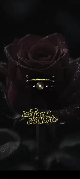 #rolitaschidas #regionalmexicano #paradedicar #lostigresdelnorte 