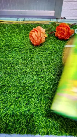 Nhang muỗi Thái xua đuỗi muỗi rất hiệu quả#nhangmuoithailan #nhangmuoi @HOÀNG QUÝ SĂN SALE @HOÀNG QUÝ SĂN SALE 