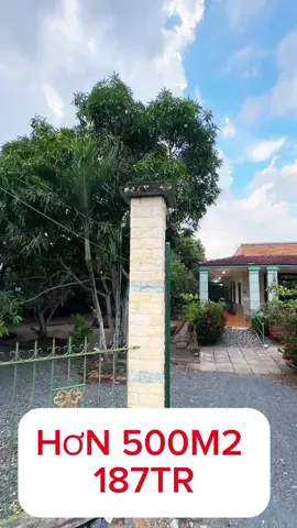 Gọi em 0373-412-598 #longan #binhchanh #hocmon #cuchi #quan12