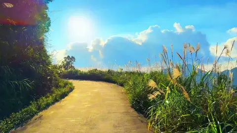 Gió thổi hiền, mây trôi chậm, thế là đủ bình yên… #phuot #canhdep #travel #touring #chill 