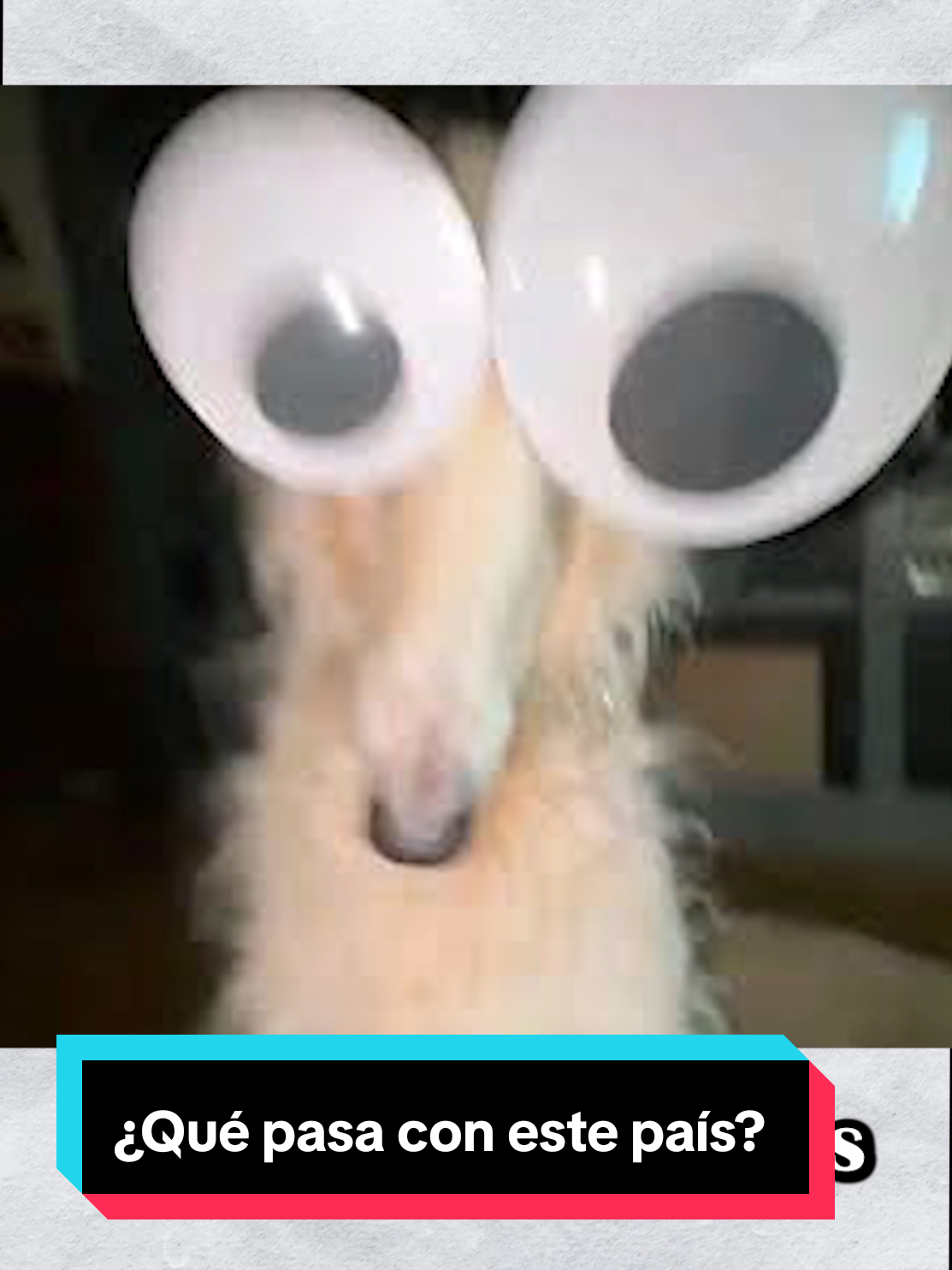 ¿Qué pasa con México? 😨 #español #lenguaje #linguistica 