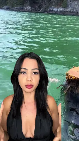 O que são esses troncos? #bizarro #curiosidades